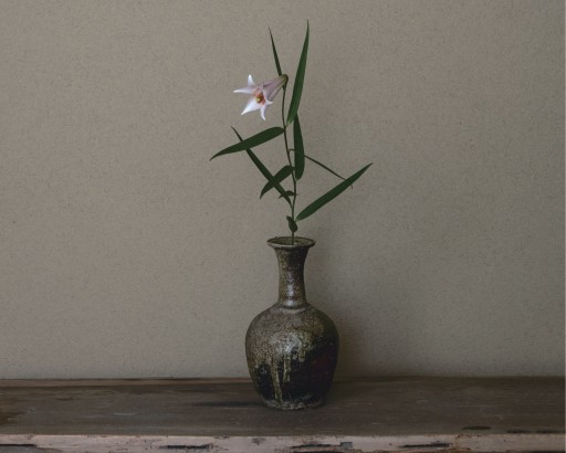 横川志歩さん インタビュー｜古美術好きから花の世界へ | TSUNAGU