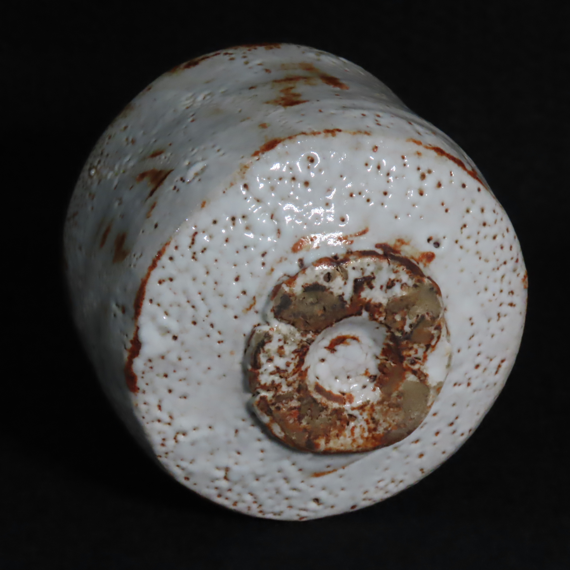 志野茶碗 by 北大路魯山人 | TSUNAGU東美｜東美ECモール