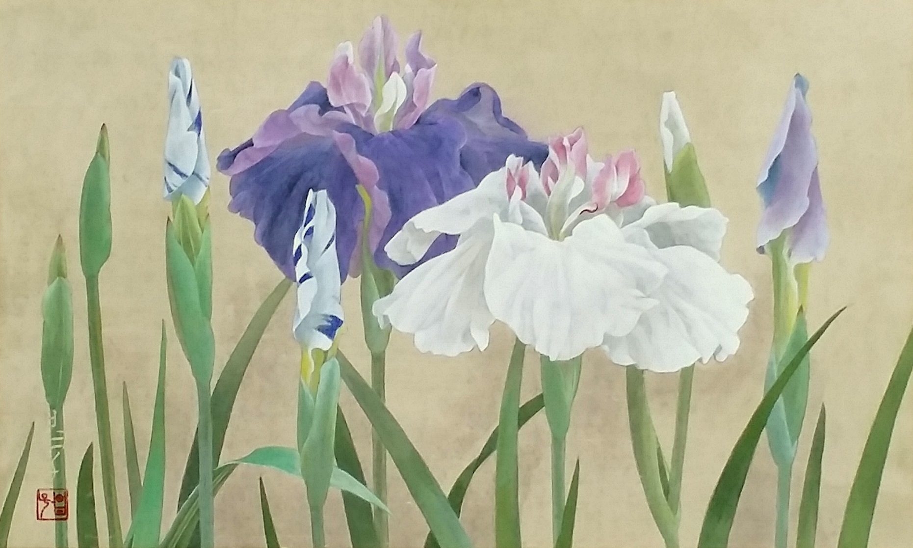 Meet with Flowers 関連企画 中野昌子 brilliant flowers | TSUNAGU東